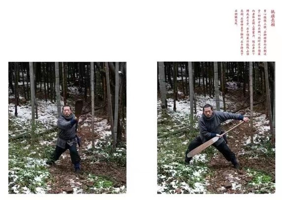 1669595567878752.jpg e7444f8fe12342eccac94f506d47e9c.jpg