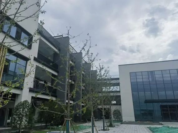 新建改扩建学校37所 苏州教育资源供给持续提升(图2)