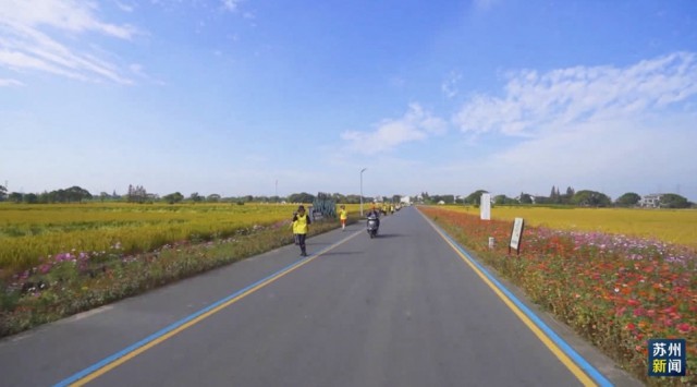 第四批“四好农村路”全国示范县名单公布 吴江区上榜---姑苏城 igusu