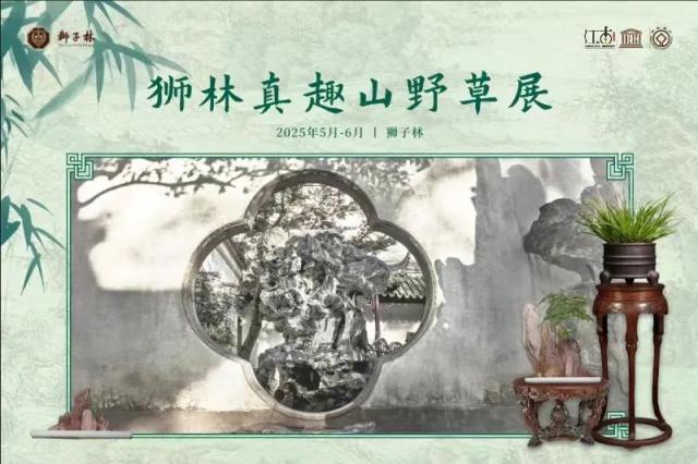 这个夏天总要来一次苏州吧！(图5)