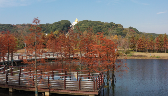 1761894086795356.png image.png