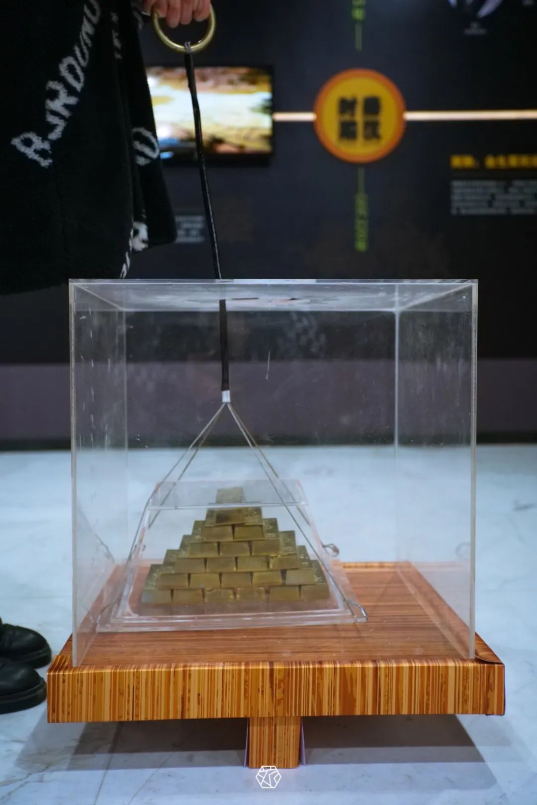 百馆之旅丨来这里涨知识，顺便试试能不能拎走“一百万”！ -新闻中心