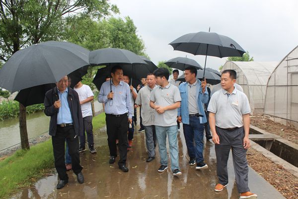 葛剑锋在善港农业基地为善港农村干部学院培训学员现场授课_副本.jpg