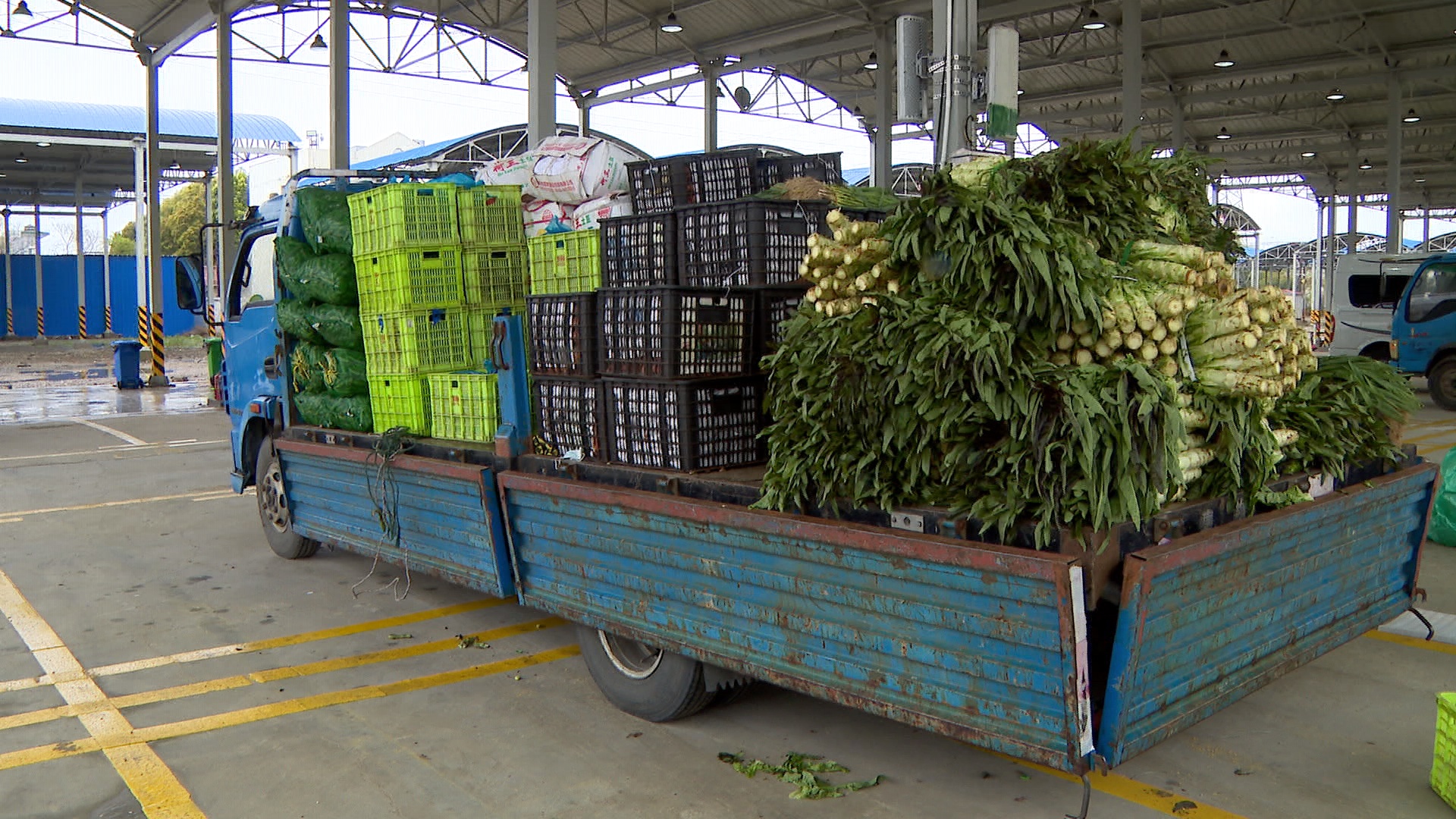 批发蔬菜的平台