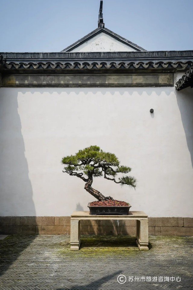 博物馆上新了!来这里看苏州2500多年的建城史-名城苏州新闻中心