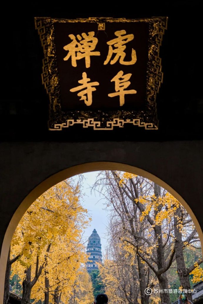 浪漫岁末，轨交串联园林与公园，一路都美翻啦！---姑苏城 igusu