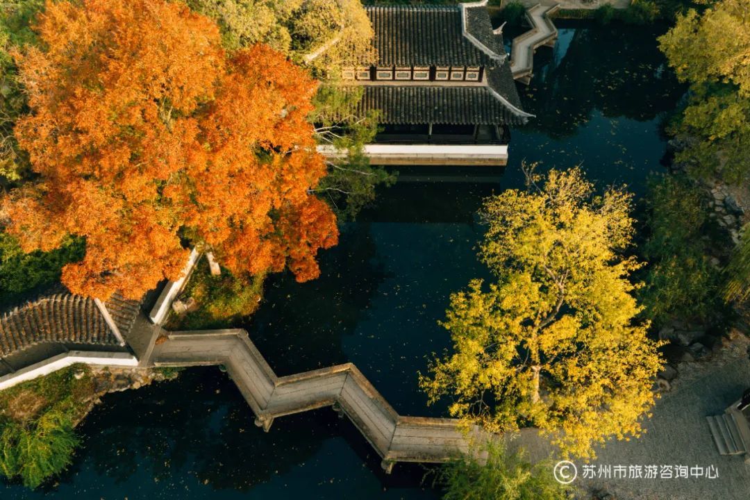 和DeepSeek聊了聊苏州,发现......---姑苏城 igusu