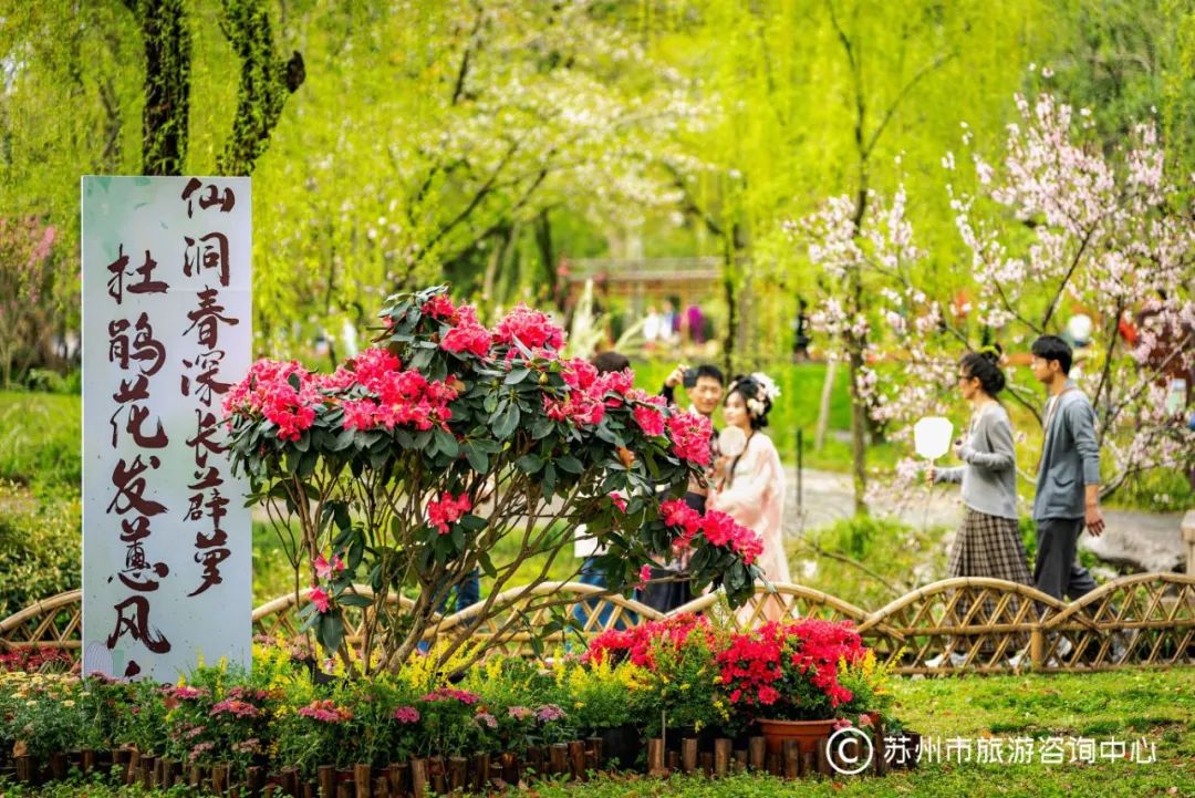 园林赏花,这篇攻略好全好实用---姑苏城 igusu