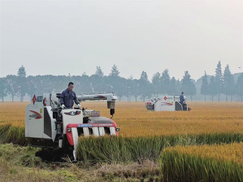 1762047543105113.jpg 2025-11-02-01_40_59+F-JJISUUUU425a743d861730f9347df4836e758d6b50ee041c295f5688318735e0f6c0d7b002fdf6c8d4b09cc9dda4dabbffa91a99ba64bbae6715cd4de500e34f595f3e4355101d798913bc680c665729ec65ff1a8aa8.jpg