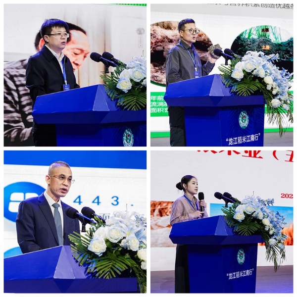 1765269599680504.jpg 光影魔术手拼图.jpg